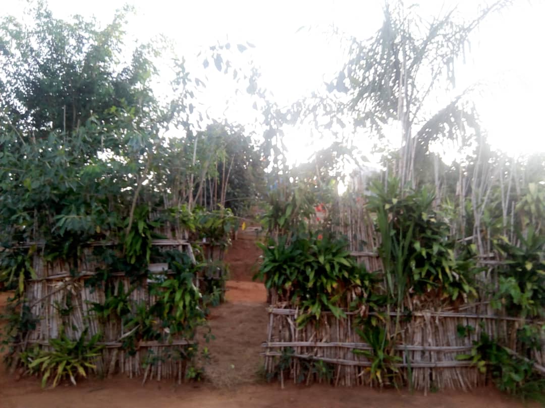 Rwobuyenje Holy Prophetic Healing Center