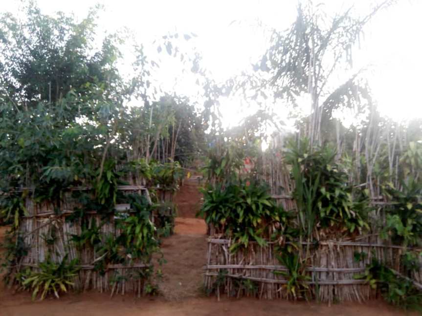 Rwobuyenje Holy Prophetic Healing Center