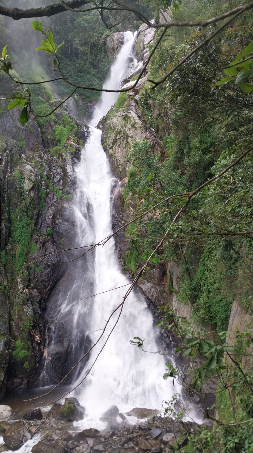 Hike to the Stunning Natural Sebwe Waterfalls in the Rwenzori