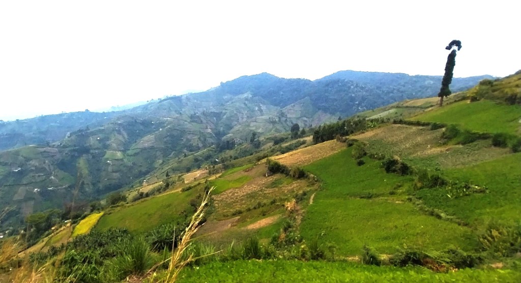 A Birthday to Remember: Conquering Mitooma Waterfalls in the Rwenzori&nbsp;Mountains