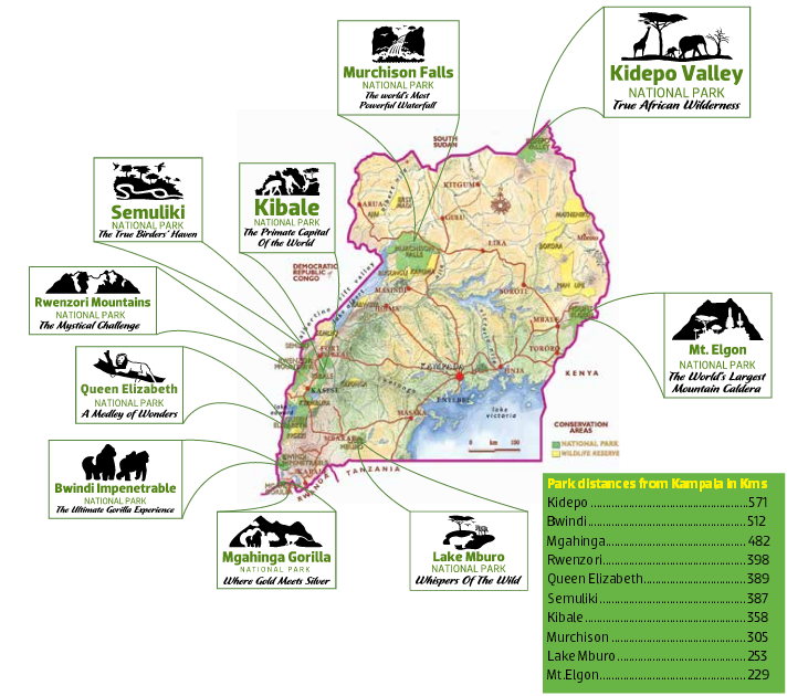 Tourism and Transformation