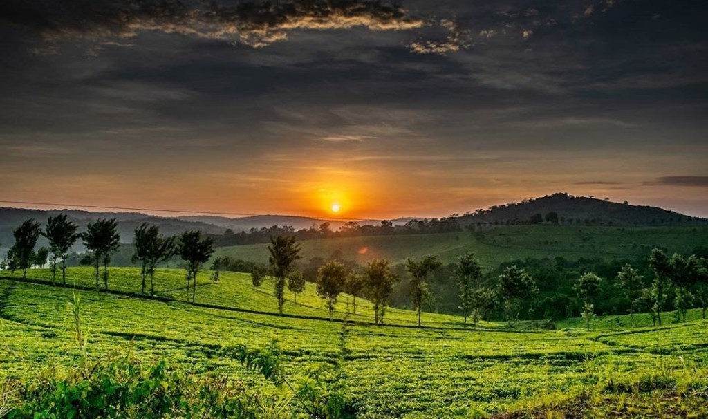 Tourism Investor Forums in Uganda an initiative of Kitara Foundation for Regional Tourism supported by Equera with District and City Tourism Offices (1)