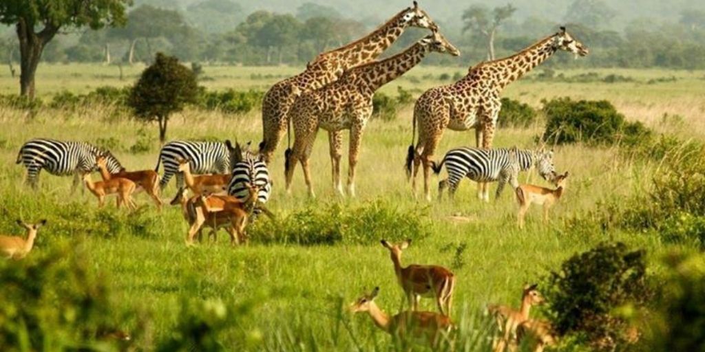 East Africa in Global Tourism