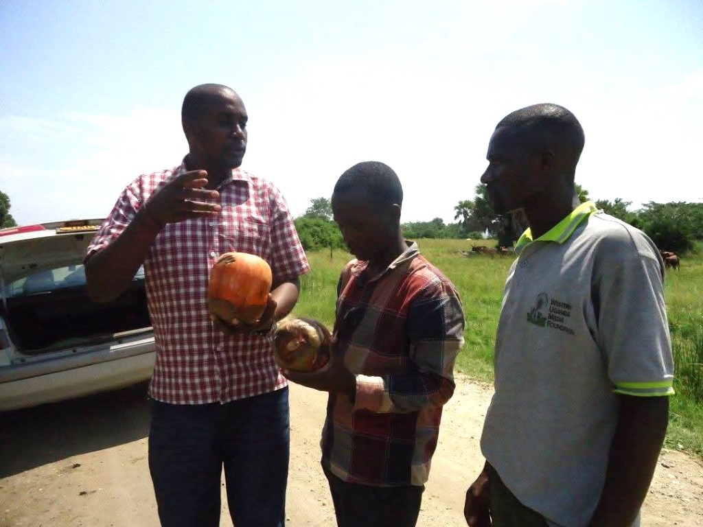 An Unforgettable Journey: The 8-Day Borassus Palm & Western Uganda Safari
This unique community tourism product is the perfect complement to a comprehensive wildlife safari. We have crafted a special 8-day itinerary that combines the profound cultural experience of the Borassus palm with the breathtaking wildlife and primate encounters of Uganda’s western circuit.