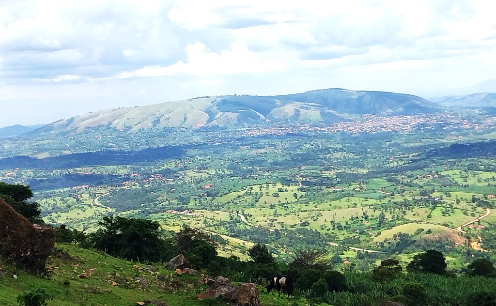 • Scenic Views: As we ascended, the stunning, sweeping vistas of Ibanda's lower flat plains unfolded, rewarding our effort with an unrivalled, breathtaking panorama.