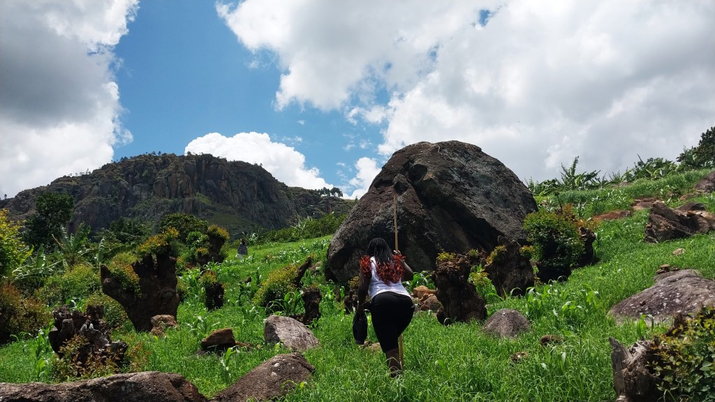• Rock Climbing, Rock Jumping, and Rock Dancing: The trail demanded exhilarating movement—scrambling over outcrops, leaping across gaps, and even a joyful, spontaneous "rock dance" on flat ledges, celebrating the pure joy of conquest