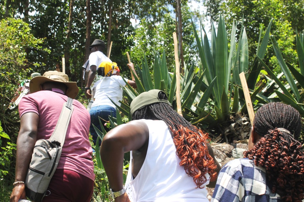 • Promoting Community Tourism: The Foundation acts as a guiding spirit, ensuring that the wealth generated by the footsteps of adventure seekers flows directly into the hands of the local custodians. By integrating local communities—their culture, their stories, and their products—into the tourism value chain, Kitara ensures that Ibanda's natural and historical sites are conserved, and its people are empowered. It’s a reciprocal bond: travelers gain authentic, unforgettable experiences, and communities gain sustainable livelihoods.