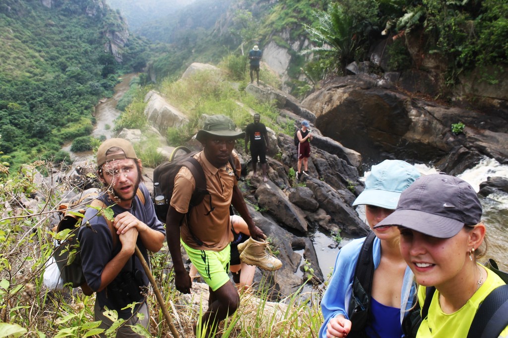 The Cliffside Romance and the Hidden Beach
Ambition pushed us further, scaling the cliffs to stand atop the escarpment where the first waterfall commits its vertical leap into the void. The view across the gorge was a "visual dopamine hit," so profound that the loverbirds in our group began whispering clandestine vows—presumably promising to love each other as long as the Cycads have survived, which is a statistically significant commitment. 
The trek continued through verdant coffee plantations and the dense, prehistoric Cycad forest—a botanical time machine where birds sang melodies that felt older than human language. This path led us to the Second Waterfall, a geological marvel that has sculpted its own private beach over the eons. A vast expanse of white sand, meticulously deposited by the river’s rhythmic exhales, framed a natural swimming pool of such tranquility that it felt curated by the gods themselves. It was a sanctuary of soft silica and turquoise water, hidden from the eyes of the world by a fortress of ancient green.