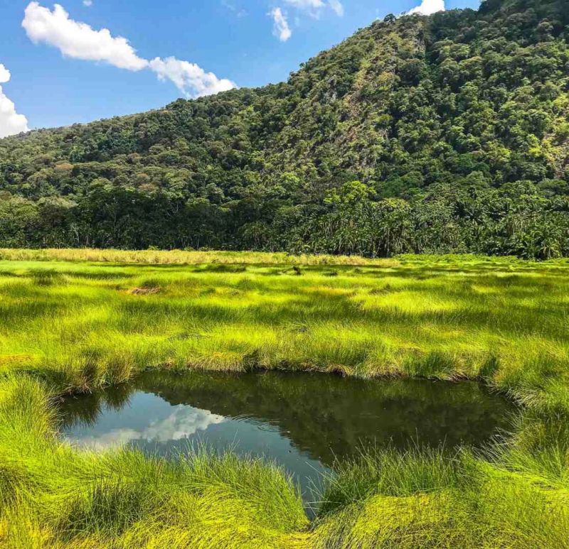 Community Tourism Experiences near Rwenzori Mountains National Park