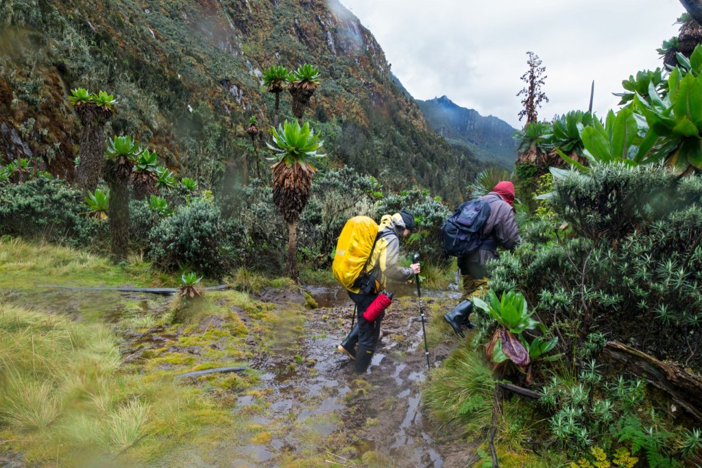 Regenerative Infrastructures for Community-Based Tourism